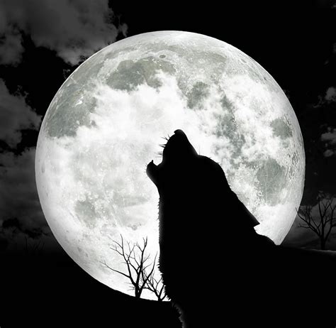 Wolf moon magic